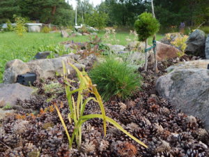 DSCN3837.JPG