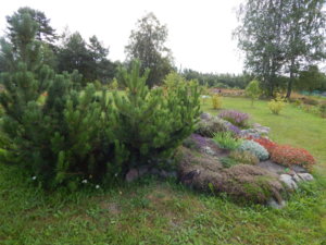 DSCN3974.JPG