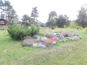 DSCN3980.JPG