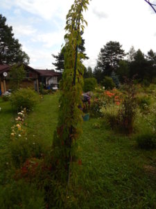 DSCN3989.JPG