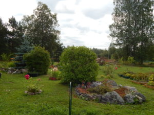 DSCN3999.JPG