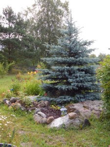DSCN4004.JPG