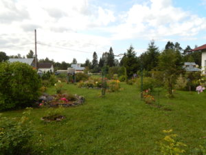 DSCN4011.JPG