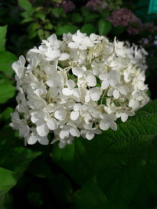 20190816_142939.jpg