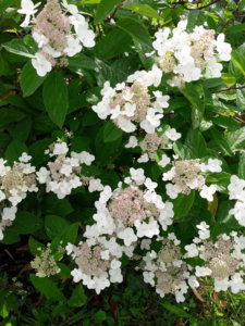 20190816_143249.jpg