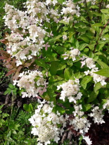 20190816_143318.jpg