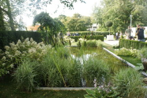 DSC04356.JPG