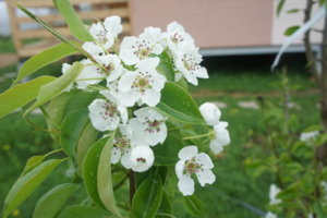 DSC03016.JPG