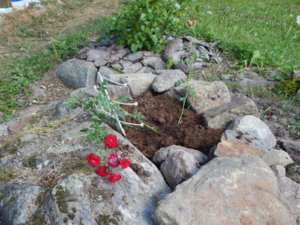 DSCN4138.JPG