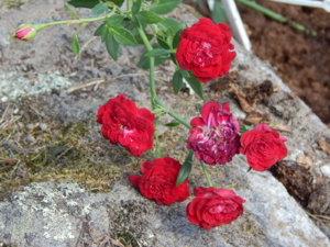 DSCN4139.JPG