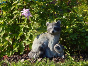DSCN4191.JPG