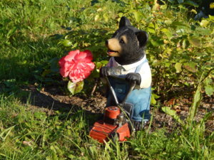 DSCN4192.JPG