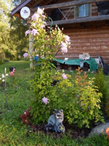 DSCN4226.JPG