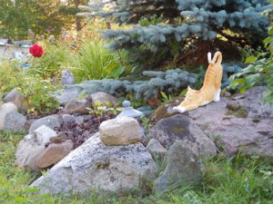DSCN4212.JPG
