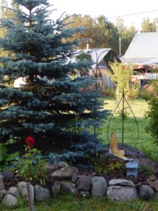 DSCN4231.JPG