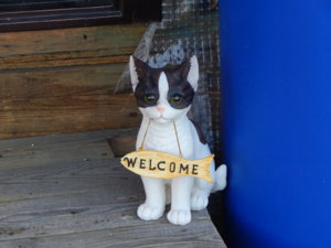 DSCN4233.JPG