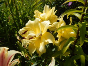 DSCN4154.JPG