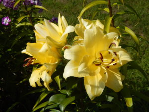 DSCN4155.JPG