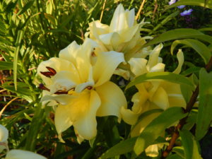 DSCN4197.JPG