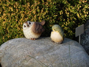 DSCN4232.JPG