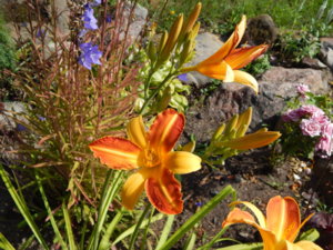 DSCN4146.JPG