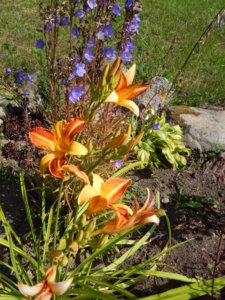 DSCN4147.JPG