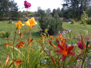 DSCN4142.JPG