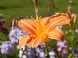 DSCN4157.JPG