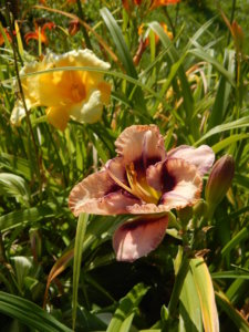 DSCN4167.JPG