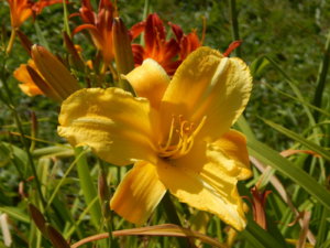 DSCN4169.JPG