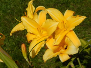 DSCN4172.JPG