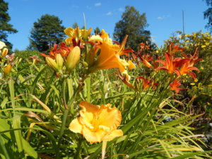DSCN4173.JPG