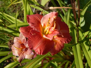 DSCN4176.JPG