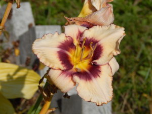 DSCN4181.JPG