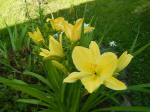 DSCN4187.JPG