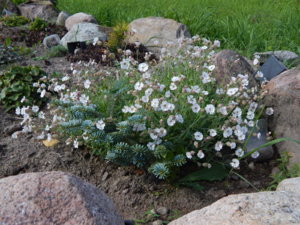 DSCN4149.JPG
