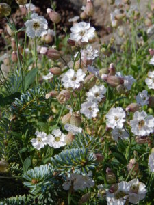 DSCN4150.JPG