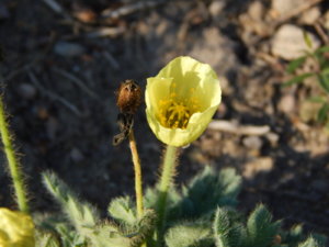 DSCN4194.JPG
