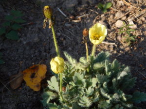 DSCN4193.JPG