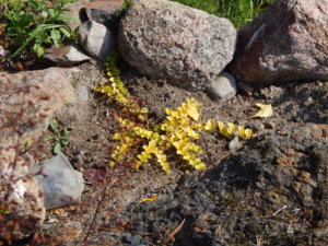 DSCN4148.JPG