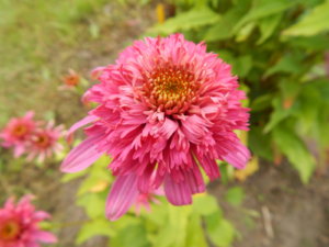 DSCN3644.JPG