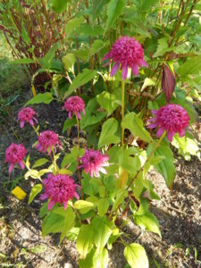 DSCN4248.JPG