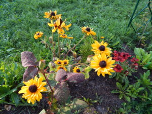 DSCN4222.JPG