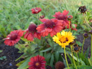 DSCN4223.JPG