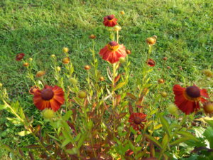 DSCN4247.JPG
