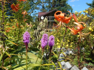 DSCN4177.JPG