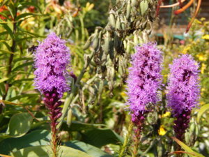 DSCN4178.JPG
