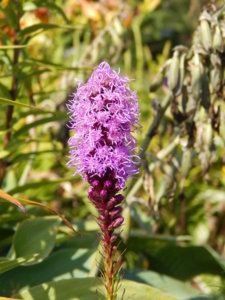 DSCN4180.JPG