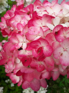 20190819_175317.jpg
