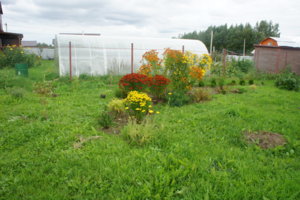 DSC05318.JPG
